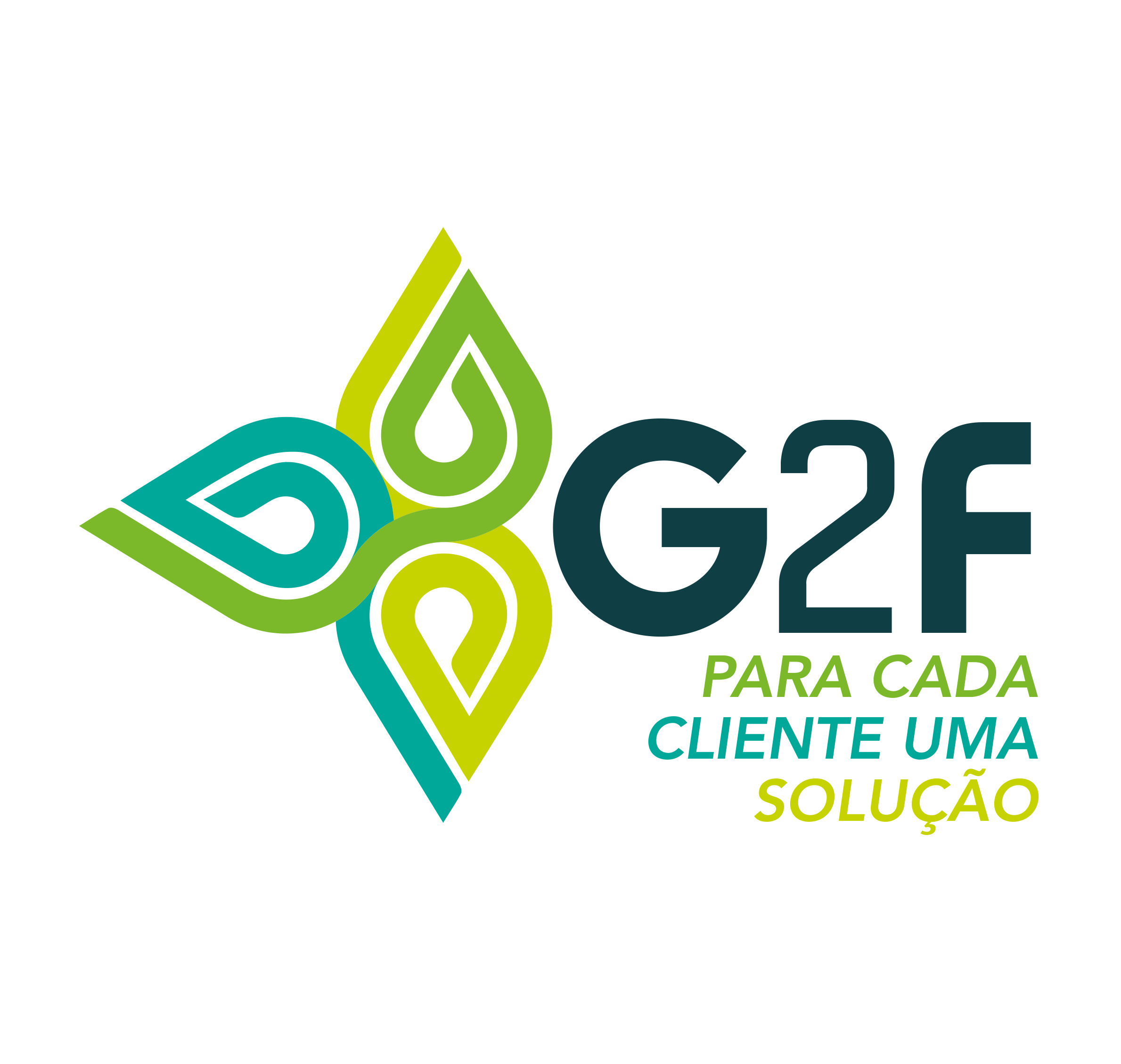 G2F Distribuidora