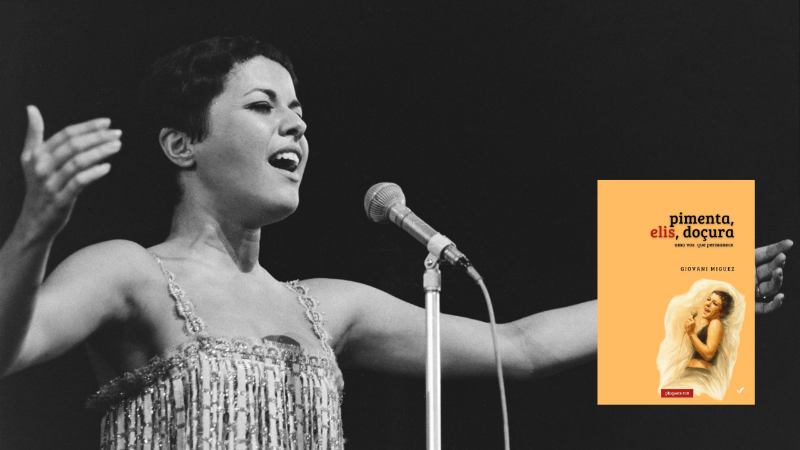 Elis Regina
