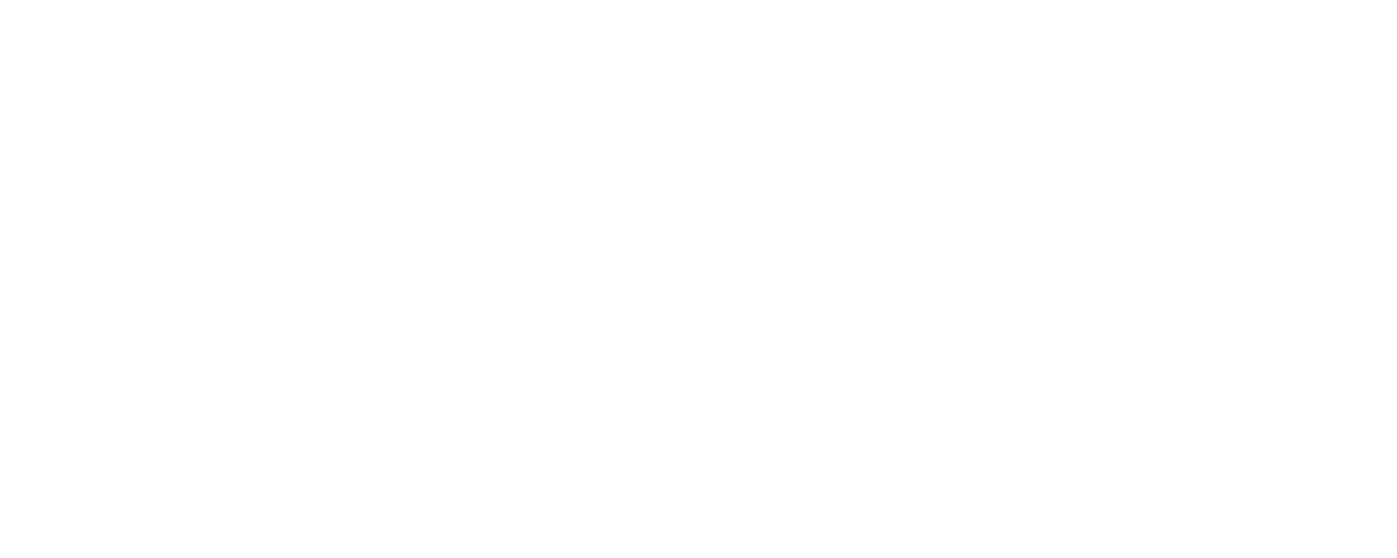 Dw Intelligence