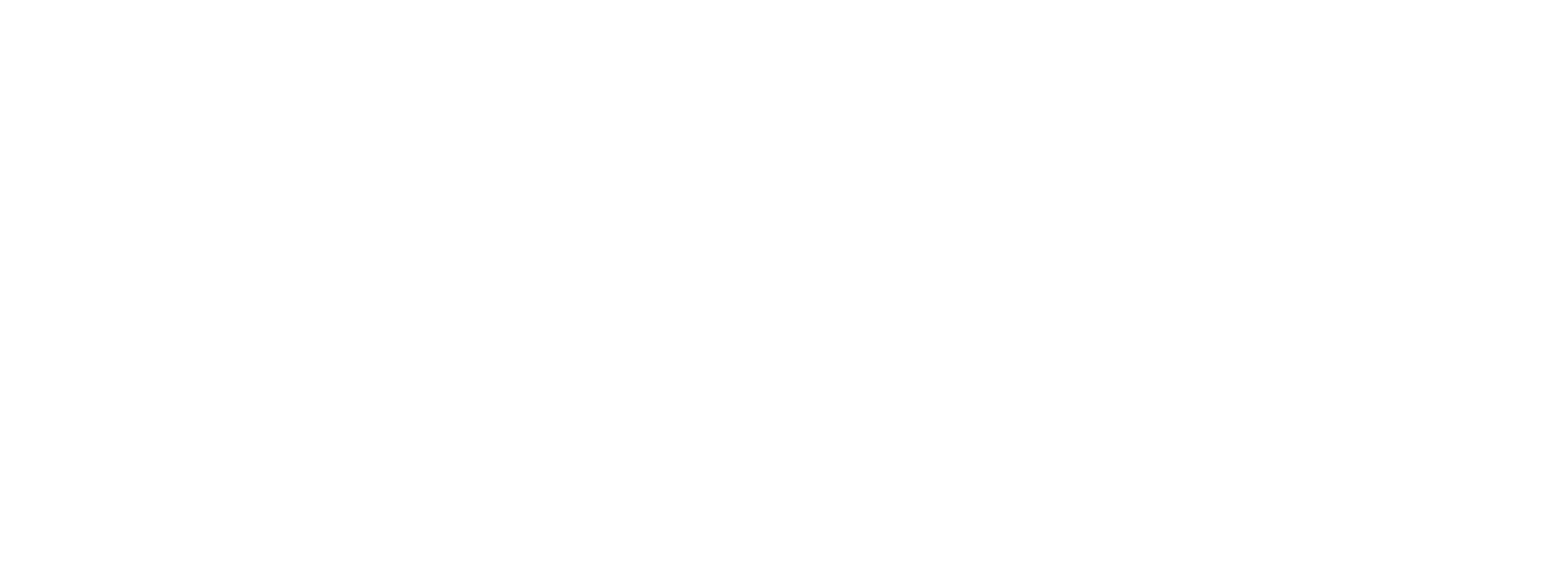 SmartScale