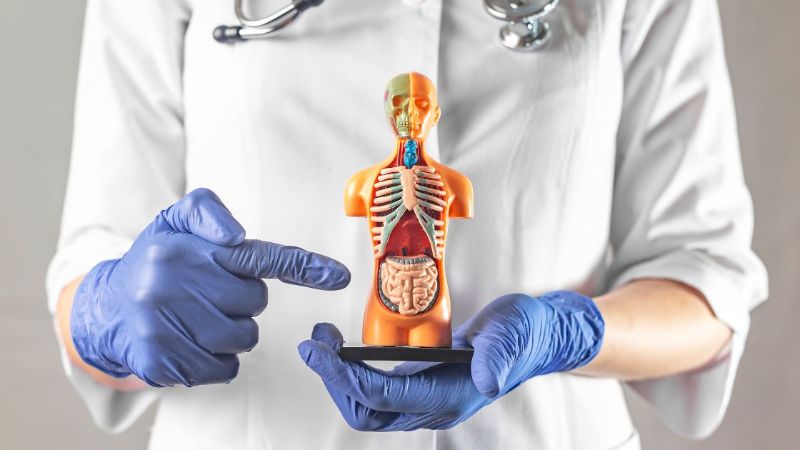 o que é cetose - médico explicando o processo de corpos cetônicos