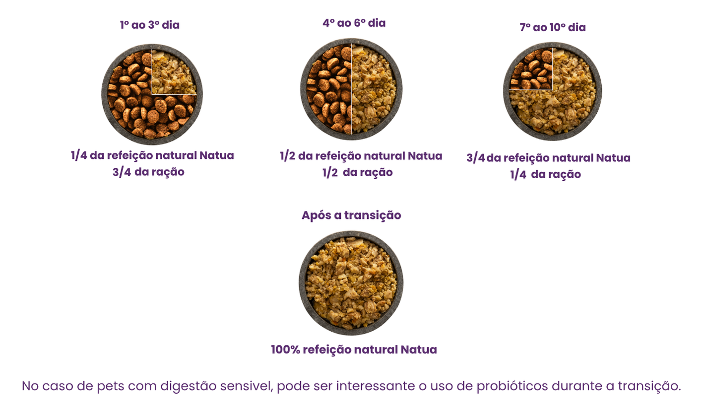 Cão observando tigela de comida natural em transição alimentar 