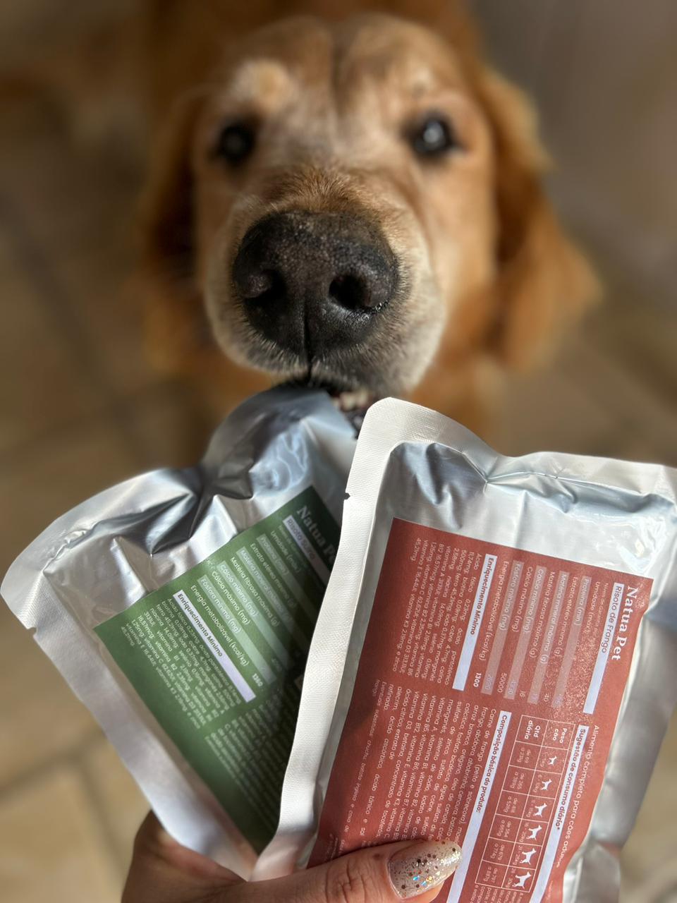 Tutora guarda comida natural de cachorro em potes de vidro na geladeira 