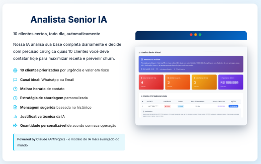 Analista Senior