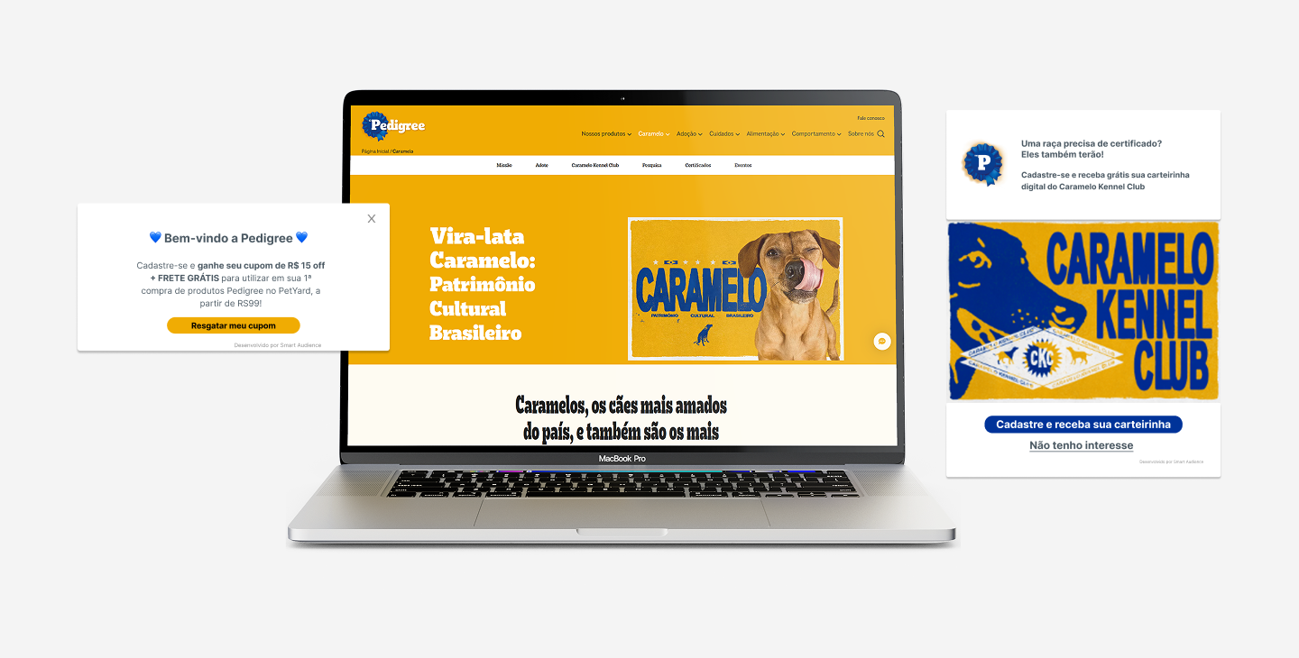 Pedigree & Smart Audience - Ativando audiências com empatia e estratégia