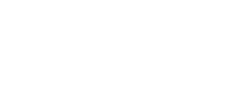 N2 Code - Software House