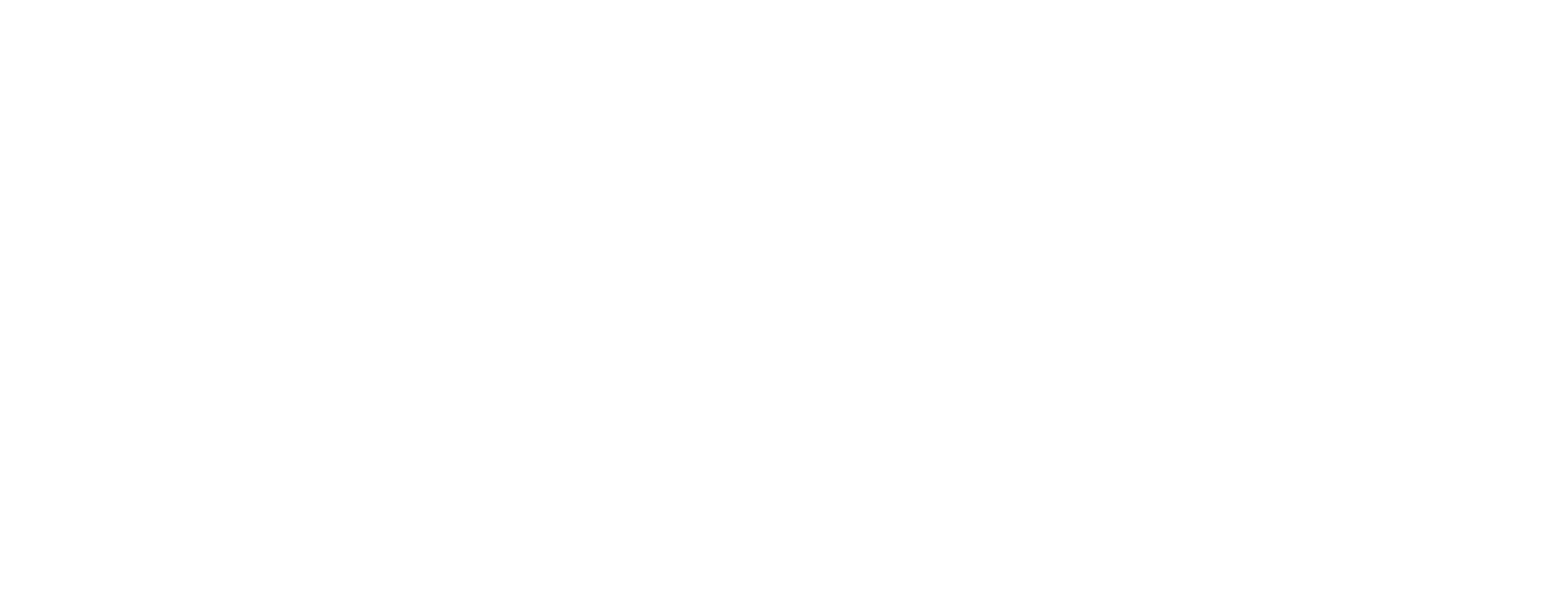 Vet Silva Clínica Veterinária