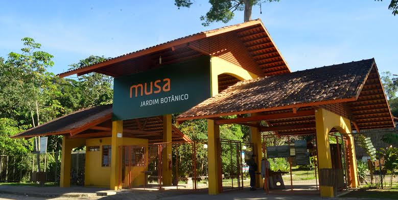 Família observa floresta amazônica do mirante do MUSA ao pôr do sol 